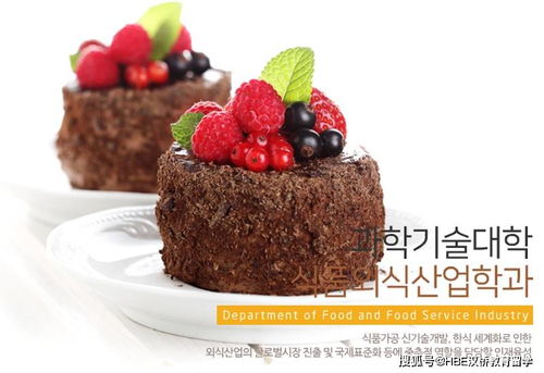 韩国食品饮食服务产业 庆北大学食品 快餐融合专业创造协同效应
